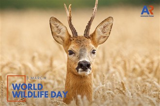 🌍 Maailman villieläinten päivän viettäminen: suojelemme luontoa, vaalimme va...